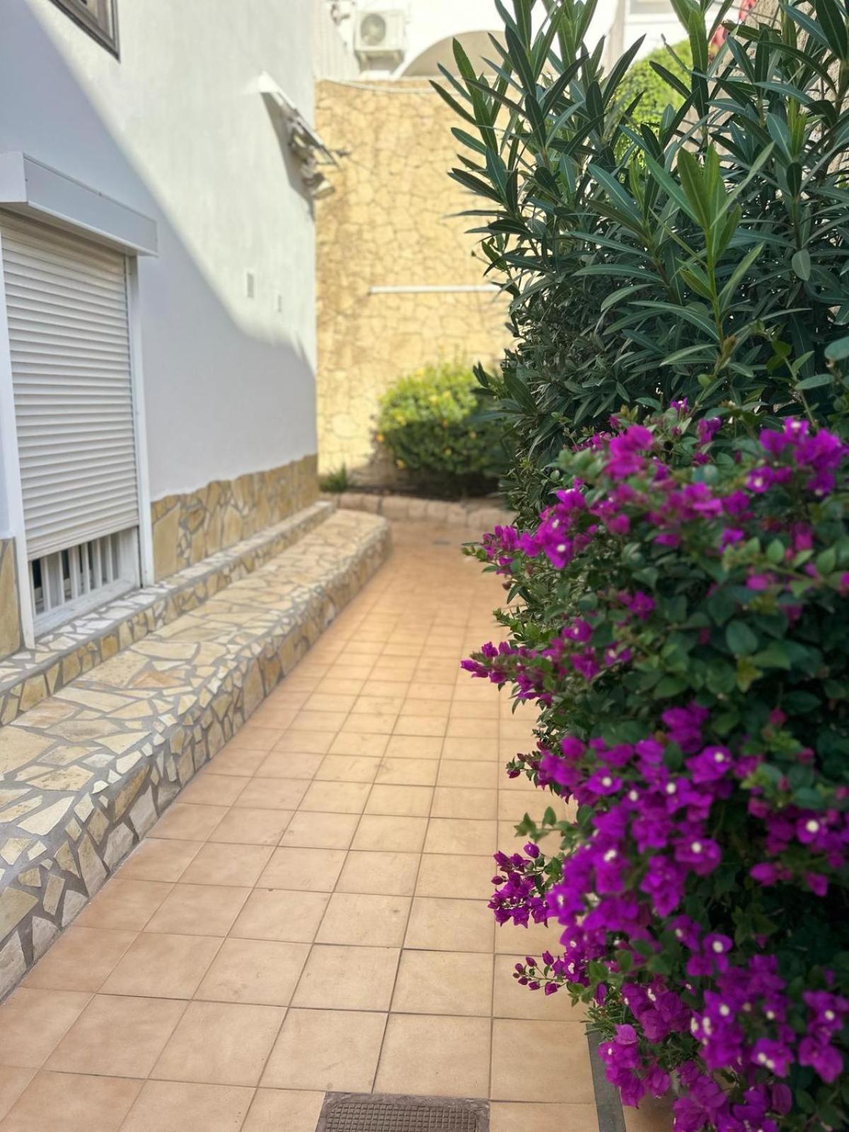 Sunny Sea View Apartment Center Of Las Americas Playa de las Americas  Bagian luar foto